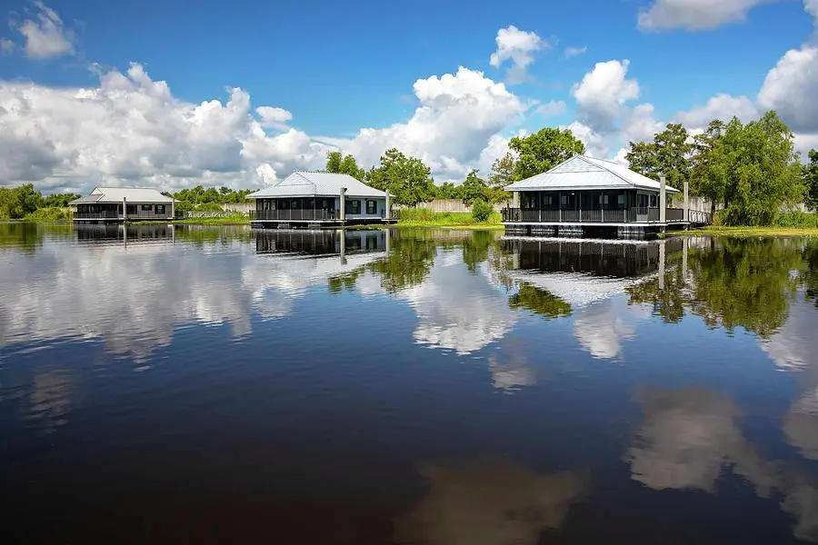 Bayou Segnette State Park
