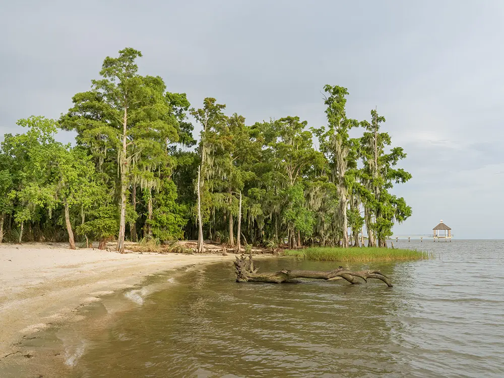 Fontainebleau State Park
