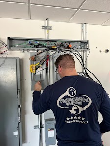 Professional Electric place picture